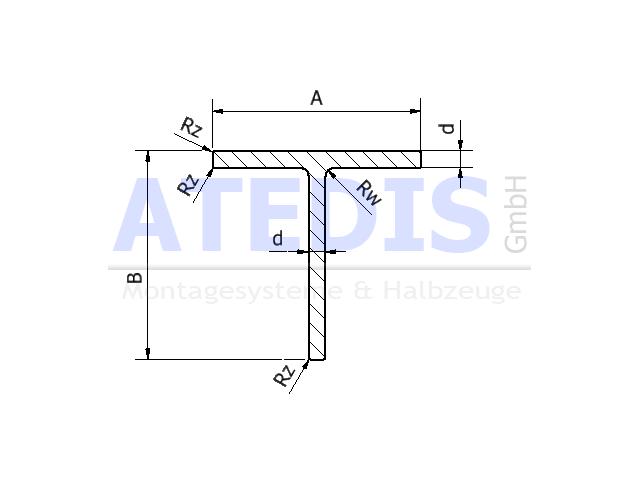 Maße Tprofil 60x50x2,5 Rw/Rz1/0,5